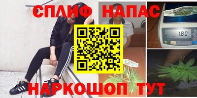 гидра Аша