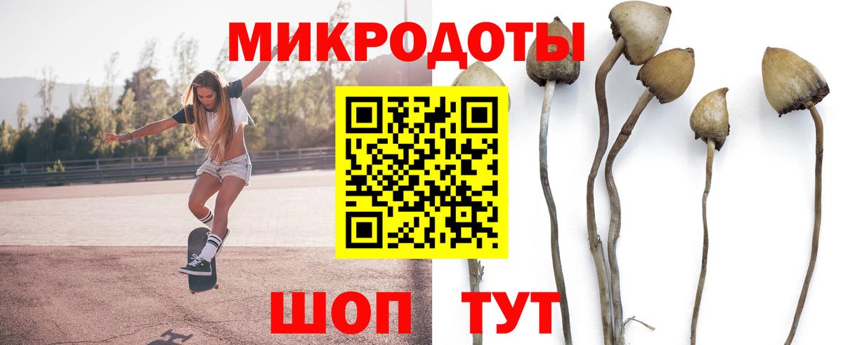 Псилоцибиновые грибы Psilocybe  Вход с VPN  Сальск 